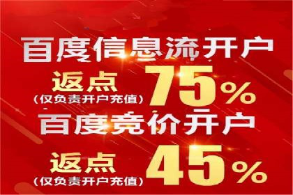 百度推广案例：成功打造行业领军品牌